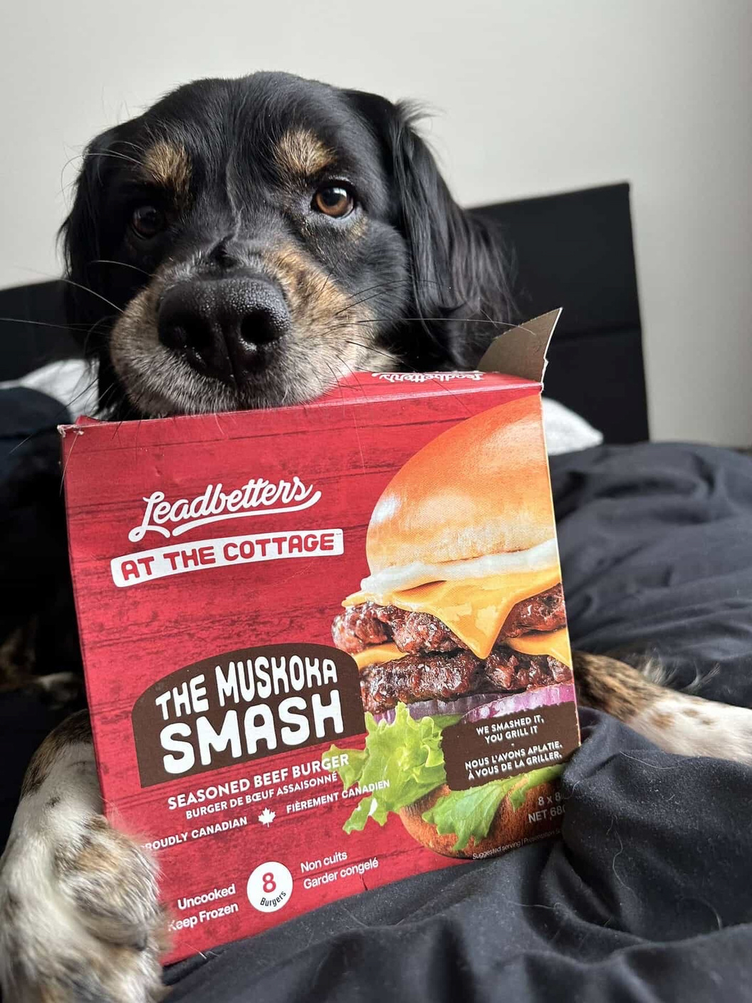 LeadbetterAmbassador